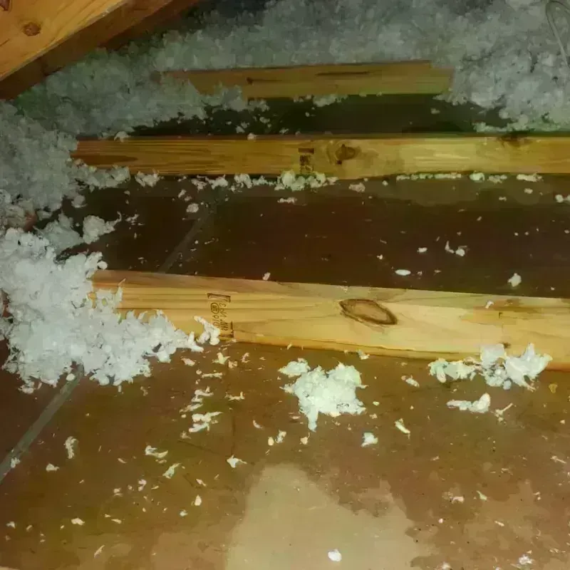 Attic Water Damage in Cameron County, TX