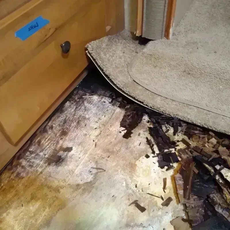 Wood Floor Water Damage in Cameron County, TX